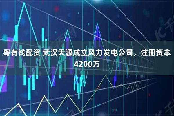 粤有钱配资 武汉天源成立风力发电公司，注册资本4200万