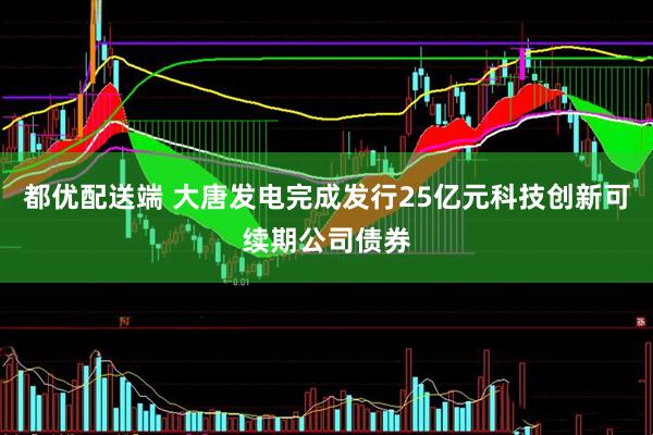 都优配送端 大唐发电完成发行25亿元科技创新可续期公司债券